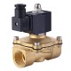N2W250-25-110VAC