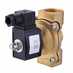 N2W250-25-110VAC