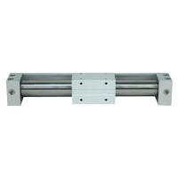 FGYR Rodless Cylinders