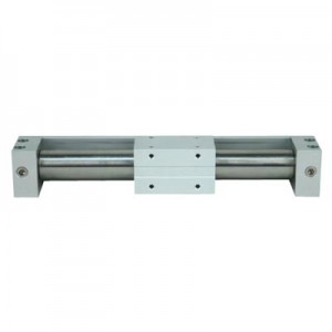 FGYR Rodless Cylinders