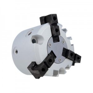 The FKHS Series Grippers