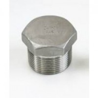 Hex. Plug 304 Hex. Plug 304
